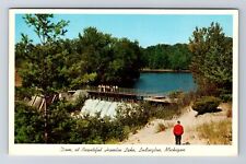 Ludington MI-Michigan, Hamlin Lake, Foot Bridge and Dam, Vintage Postcard picture