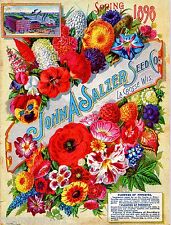 1898 Salzer Paradise Vintage Flowers Seed Packet Catalogue Advertisement Poster  picture