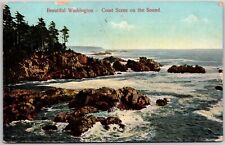 Washington Coast Scene On The Sound Postcard 1909  picture
