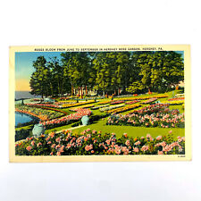 Postcard Pennsylvania Hershey PA Rose Flower Garden 1942 Linen Posted picture