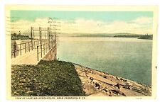 View Of Lake Wallenpaupack by Carbondale PA Newfoundland 1934 Poconos Postcard picture