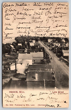 Aerial View, Osakis, Minnesota, Lake Street Vintage Postcard picture