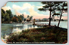 c1910s Winthrop ME Hotel Pines Palmer's Island Cobosseecontee Antique Postcard picture