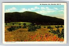 Mount Magazine AR-Arkansas, Landscape, Antique, Vintage c1954 Souvenir Postcard picture