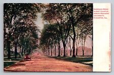 Sheridan Road North-Western University Evanston Illinois Vintage Unposted picture