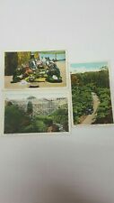 Vintage Travel Postcard Hilo Hawaii C.T American Art 1930s Lot Of 3 picture