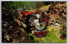 Klondike Casey  #1880  Hill City  South Dakota   Railroad Train Postcard picture