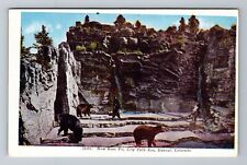 Denver CO-Colorado, New Bear Pit, City Park Zoo, Vintage Postcard picture