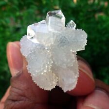 apophyllite on chalcedony coral matrix minerals-a picture