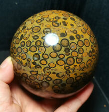 TOP 1117G Natural Polished Leopard Print Money Agate Crystal Ball Healing WD983 picture