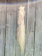 White Real Natural Horse Tail. Taxidermy. Measures Approximately 90 Cm Long. picture