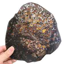 209.8G SERICHO Pallasite olive meteorite slices - from Kenya Q492 picture