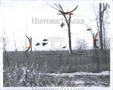 1970 Press Photo Hunting Pat ridge Michigan Clowee Tree - RRQ59591 picture