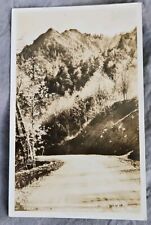RPPC Newfound Gap Highway Great Smoky Mountains National Park TN Vtg Postcard picture