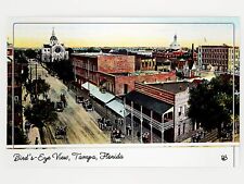 Bird's-Eye View, Tampa, Florida 1905 Postcard - METALLIC LUSTER GleeBeeCo #4D73 picture