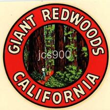 VINTAGE GIANT REDWOODS CALIFORNIA STATE SOUVENIR 1949 ORIGINAL TRAVEL DECAL ART picture