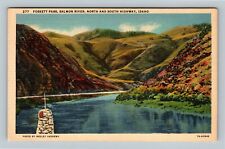Foskett Pass ID, Salmon River North & South Highway, Idaho, Vintage Postcard picture