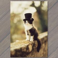 POSTCARD Cat in Hat Weird Beautiful Black Strange Cute Fun Humanized Kitten picture