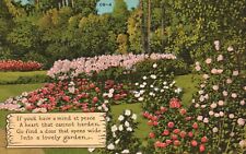 Postcard FL Cypress Gardens Camellia Japonicas Posted 1947 Vintage PC J3288 picture