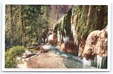 Postcard Moss Covered Wall of Hanging Lake, Glenwood Springs, Colorado picture
