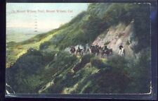VTG Postcard Antique, Mount Wilson CA California, 1911, Horses on Trail picture