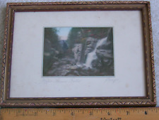 Charles Sawyer Hand-Colored photo Flume Falls Franconia notch NH picture