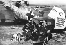 WWII B&W Photo Luftwaffe Bf109 Pilots & Dogs  WW2 World War Two Germany / 6054 picture