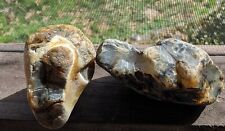 Montana Agate Yellowstone River Lot of 2 - Total Wt. 2Lb. 13Oz. - Rough Lapidary picture