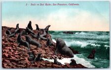 Postcard - Seals on Seal Rock, San California, California, USA picture