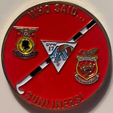 A-7E VA-81  SUNLINERS CHALLENGE COIN picture