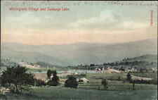 Whitingham Village and Sadawga Lake Vermont c1910 Vintage Postcard picture
