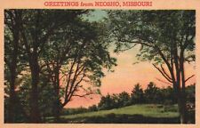 Postcard MO Greetings Neosho Sunset Pasture Scene Linen Vintage PC H2099 picture