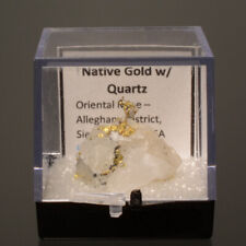 Crystallized Native Gold w/Quartz Collector Mineral Specimen - Oriental Mine, CA picture