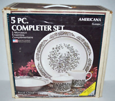 Americana Sussex Vintage Royal China 5 PC. Set Plate Cup American Ironstone picture