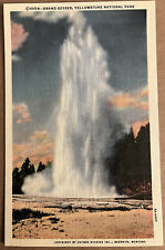 Yellowstone Grand Geyser Haynes Photo Vintage Wyoming Postcard c1930 picture
