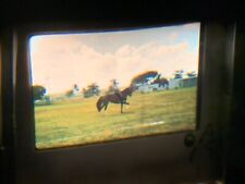 OA13 ORIGINAL KODACHROME  35MM SLIDE 1950s Man on Horse picture