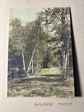 NORCROSS WOODS Rare Old COLOR PHOTO Trees Path Outdoor Walking Park NATURE picture