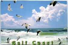 Postcard - Seagulls along the beaches of the Gulf Coast picture