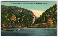 Postcard PA Delaware River Water Gap From Child's Arbor Nature's Grandeur picture