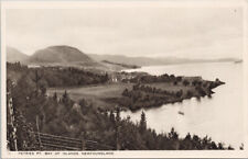 Petries Point Bay of Islands Newfoundland NL Unused TUCK Postcard G60 picture