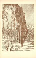 Poplar Tree Wind-Break, Utah E. Merrill Van Frank Art c1930s Vintage Postcard picture