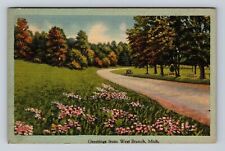 West Branch MI-Michigan, General Greetings Road View, Vintage c1946 Postcard picture