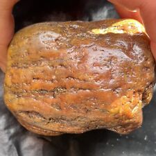 Amazing Piece Of  Rough, Natural, Agatized, Petrified Wood W/ Translucency picture