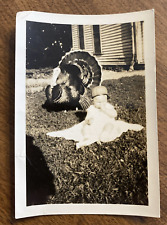 1930s Family Pet Turkey Baby Toddler Child Infant Original Snapshot Photo P8q26 picture