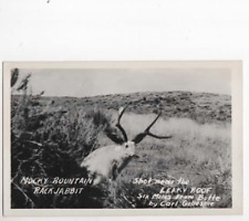 Jackalope  Rocky Mountain Jack Rabbit  Butte Montana RPPC 1930 picture