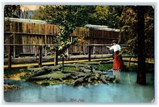 c1910's Women And Her Pets Alligator Florida FL Unposted Antique Postcard picture
