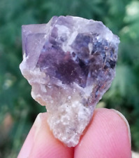 47.50 Cts natural lovely phantom faceted purple color flourite crystal specimen picture