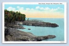 1928 Black Rocks Presque Isle Marquette Michigan Linen Teich Postcard Unposted picture
