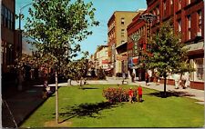 Kalamazoo MI Downtown Mall Drugs Hotel LaPaul Furs Schensuls Cafeteria Postcard  picture