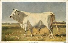 c1908 Postcard White Short Horn Bull, Greetings from the Farm Lake Huntington NY picture